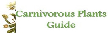 Carnivorous Plants Guide