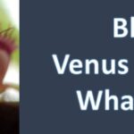 Should I Cut Off Black Venus Flytraps